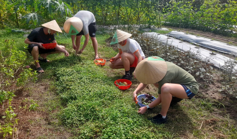 Hành Trình Làm Nông & Nấu Bữa Cơm Nhà (4)